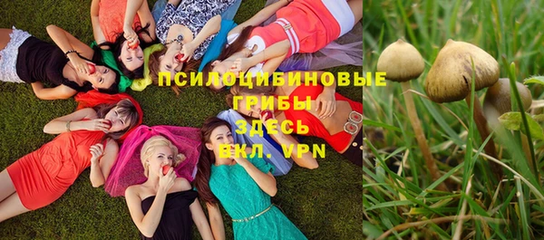 мет Магас