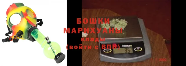 крисы Майский