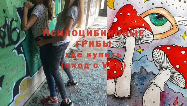 крисы Майский